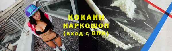 гидра Осинники