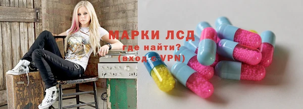 стаф Арсеньев