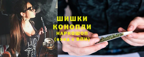 spice Аркадак
