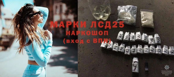 стаф Арсеньев