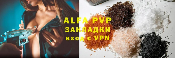 стаф Арсеньев