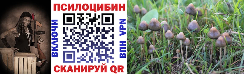Галлюциногенные грибы Psilocybe  наркотики  Тетюши 